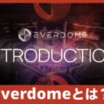 Everdomeとは？次世代のメタバース体験を完全解説！