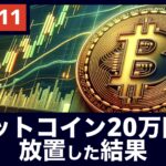 【運用実績】20万円分のビットコインはどうなった？（2024年11月10日週）