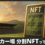 【NFT活用事例】サッカー場を1㎡単位で所有！？鎌倉インターナショナルFCの分割NFTとは
